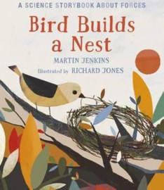 Bird Builds A Nest (Martin Jenkins, Richard Jones)