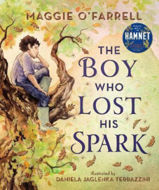 The Boy Who Lost His Spark Hardback (Maggie O'Farrell, Daniela Jaglenka Terrazzini)