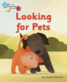 Looking For Pets 6-pack