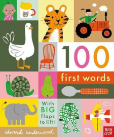 100 First Words (Edward Underwood) Novelty Book