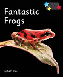 Fantastic Frogs 6-pack