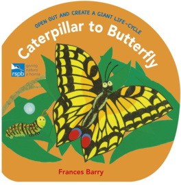 Caterpillar To Butterfly (Frances Barry)