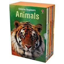 Usborne Beginners Animals Series 10 Books Collection Box Set