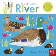 Animal Families River