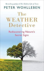 The Weather Detective