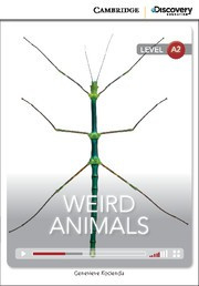 Weird Animals