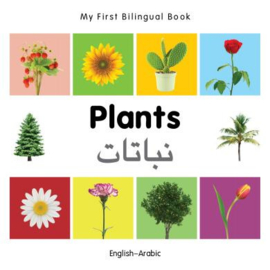 Plants (English–Arabic)