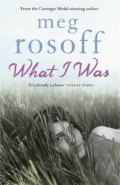 What I Was (Meg Rosoff)