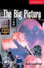 The Big Picture: Paperback