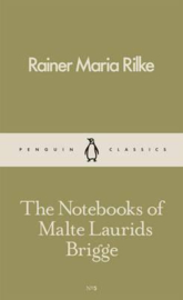 The Notebooks Of Malte Laurids Brigge (Rainer Maria Rilke)