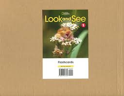 Look and See Level 1 BrE Flashcards