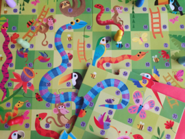 Snakes and Ladders