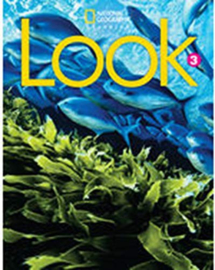 Look Level 3 Reading Anthology