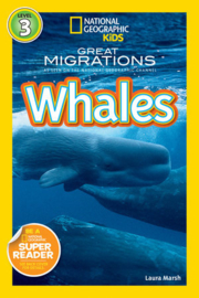 Great Migrations Whales