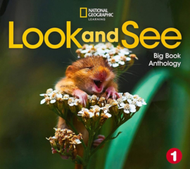 Look and See Level 1 BrE Big Book Anthology