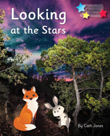 Looking At The Stars