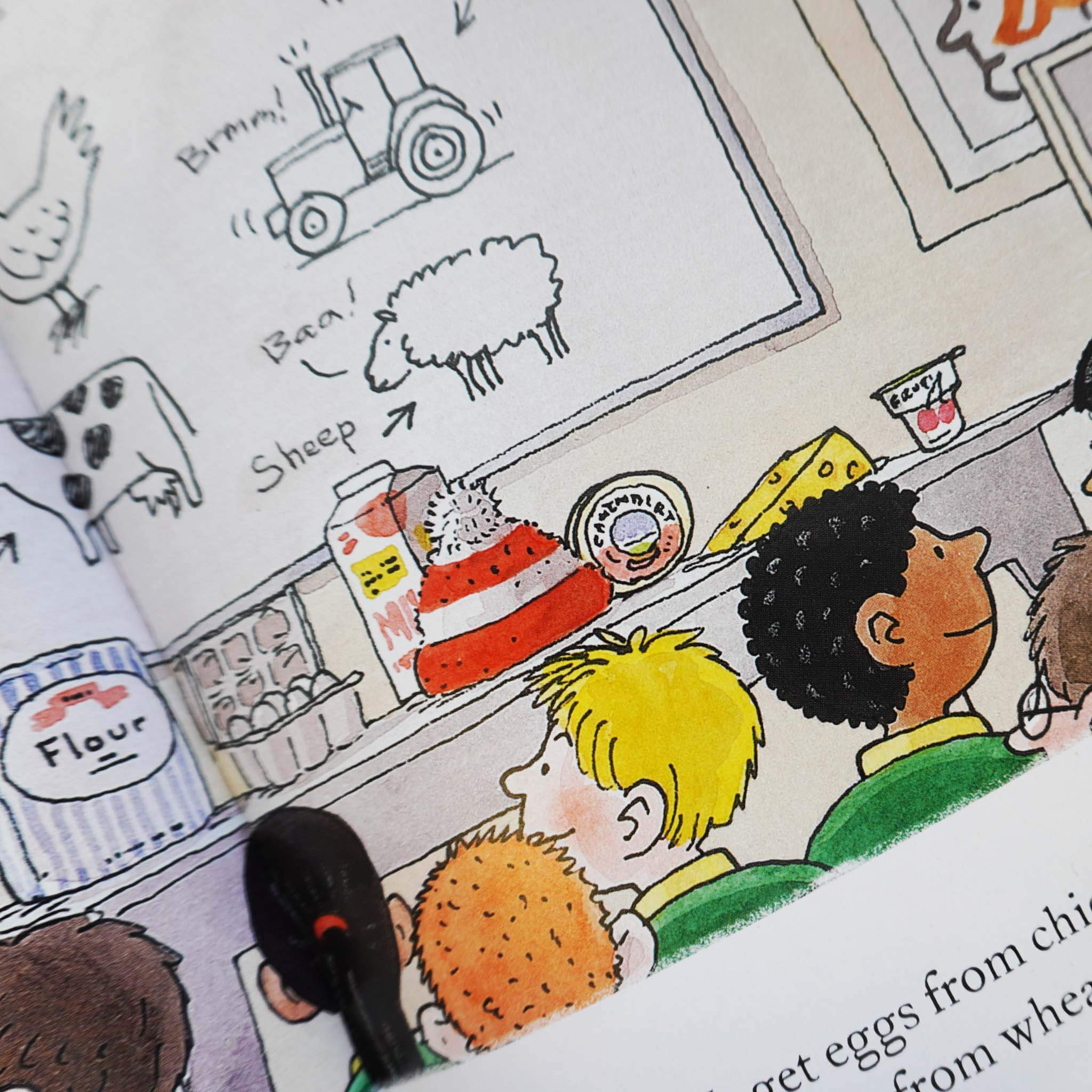 First Experiences with Biff, Chip & Kipper 8 Books Collection