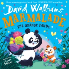 Marmalade - the Orange Panda