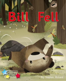 Bill Fell 6-pack
