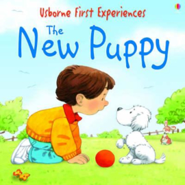Usborne First Experiences The New Puppy
