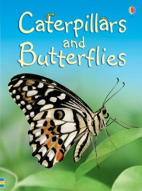 Caterpillars and butterflies