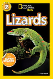 Lizards