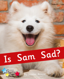 Is Sam Sad? 6-pack
