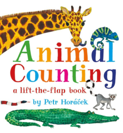 Animal Counting (Petr Horacek)