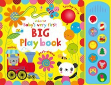 Baby's very first big play book