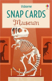 Museum snap cards