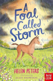 A Foal Called Storm (Helen Peters, Ellie Snowdon) Paperback