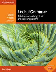 Lexical Grammar Paperback
