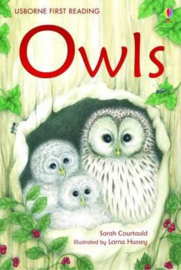 Owls