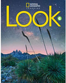 Look Level 6 Workbook