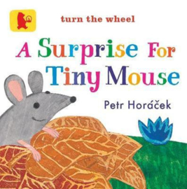 A Surprise For Tiny Mouse (Petr Horacek)