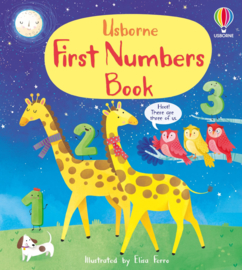 Usborne First Numbers Book