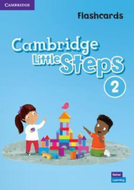 Cambridge Little Steps Level 2 Flashcards