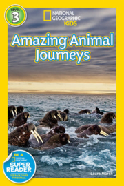 Great Migrations Amazing Animal Journeys