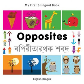 Opposites (English–Bengali)