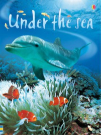 Under the sea