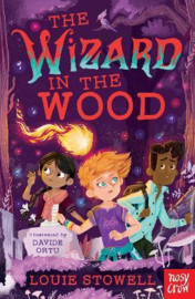 The Wizard in the Wood (Louie Stowell, Davide Ortu) Paperback