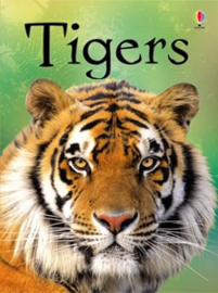 Tigers