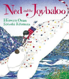Ned And The Joybaloo (Hiawyn Oram) Paperback / softback