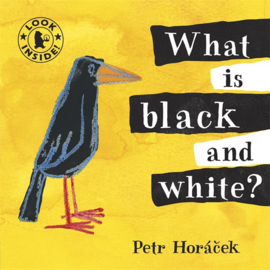 What Is Black And White? (Petr Horacek)