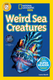 Weird Sea Creatures