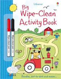 Big wipe-clean activity book