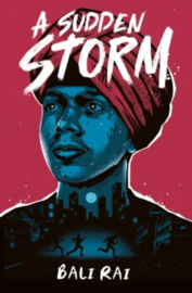 A Sudden Storm (Interest 13+ Reading 7+)
