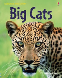 Discovery: Big cats