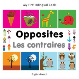 Opposites (English–French)