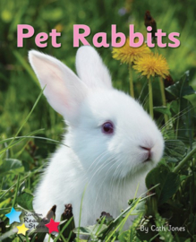 Pet Rabbits 6-pack